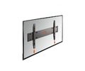 vogels_base05m
