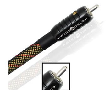 wireworld-gold-starlight-8_rca-rca