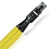 wireworld_chroma_8_cat8_ethernet