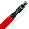 wireworld_starlight_8_cat8_ethernet