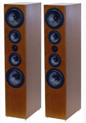 ASW Cantius 612