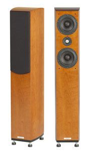 ASW Genius 310