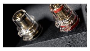 Dynaudio Focus Anschlussbuchsen