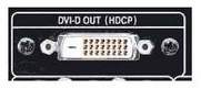 DVI-D-out.jpg