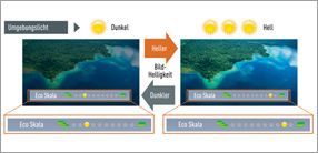Natural Vision Filter